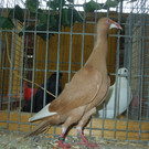 November 25 067.JPG