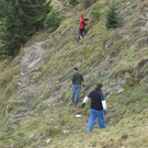Mehr Bilder von der Fraxner Rodungsaktion 2012. (c) Hugo Kathan