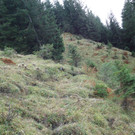 DSC00772_JPG-1353968024
