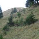 DSC00775_JPG-1353968116