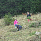 DSC00813_JPG-1353968758