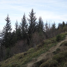 DSC00779_JPG-1353968160