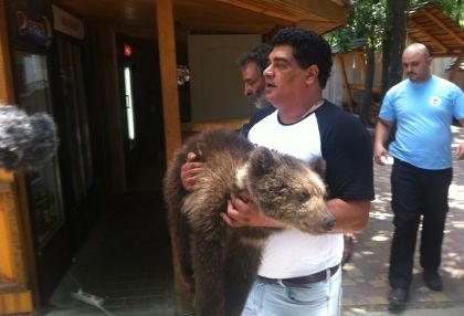 nastia rescue update web3.jpg