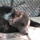 nastia diary day 4_sleeping_web 420.jpg