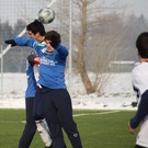 fcl 29.jpg