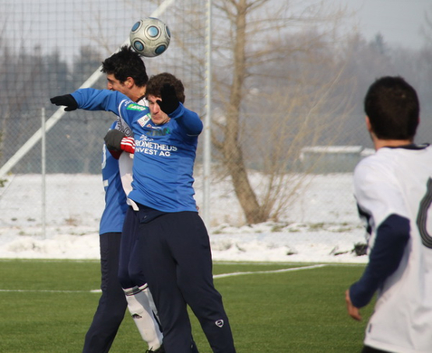 fcl 29.jpg