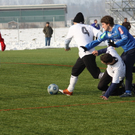 fcl 31.jpg