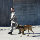 Reportage--12.jpg