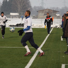 fcl 53.jpg