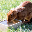 wildpark03_jpg-1354016518