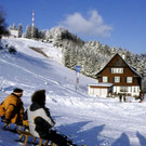 winter08_jpg-1354016537