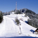 winter09_jpg-1354016538