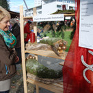 DSC_8341_jpg-1354017000