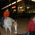 DSC_8292_jpg-1354017850