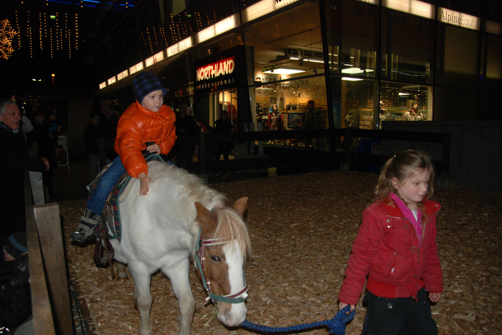 DSC_8292_jpg-1354017850