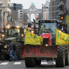 Milchbauern-Protest in Brüssel