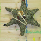 IMG_4219_JPG-1354047774