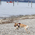 IMG_5731b.jpg