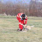 IMG_5724b.jpg