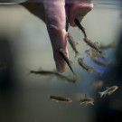 DSC_1263-1.jpg