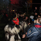 FMT-F_M_4.JPG