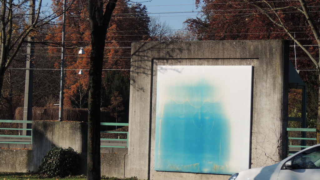 DSCN8102_JPG-1354144978