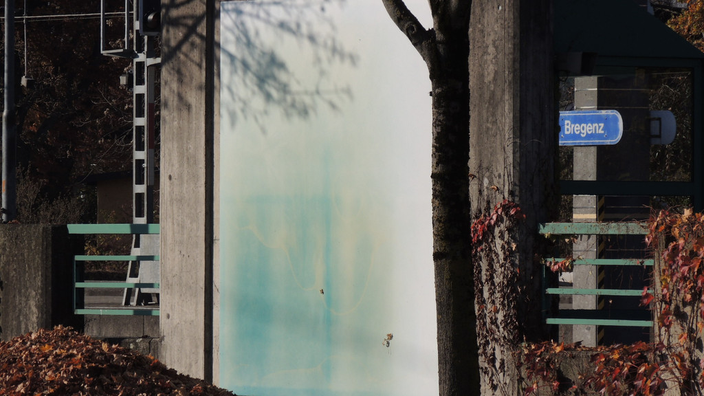 DSCN8103_JPG-1354144982