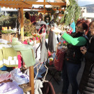 DSCN9784_JPG-1354145530