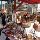 DSCN9809_JPG-1354145588