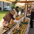 DSCN9818_JPG-1354145627