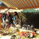 DSCN9792_JPG-1354145878