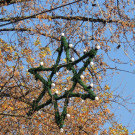 DSCN8110_JPG-1354150503