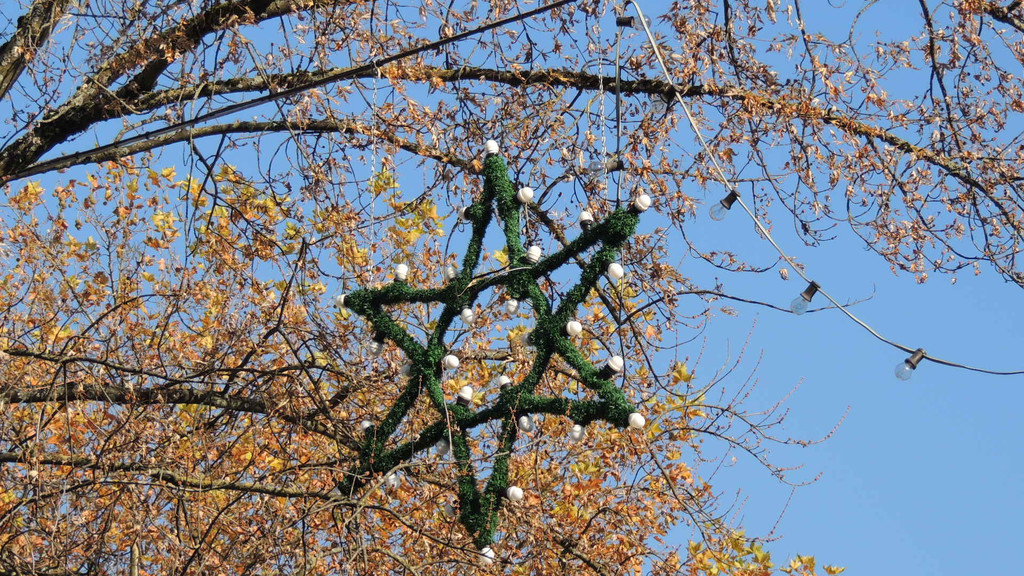 DSCN8110_JPG-1354150503