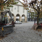 DSCN8386_JPG-1354150693