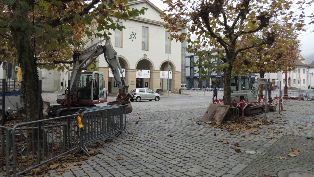 DSCN8386_JPG-1354150693