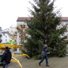 DSCN9877_JPG-1354150868