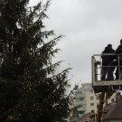 DSCN9887_JPG-1354150901