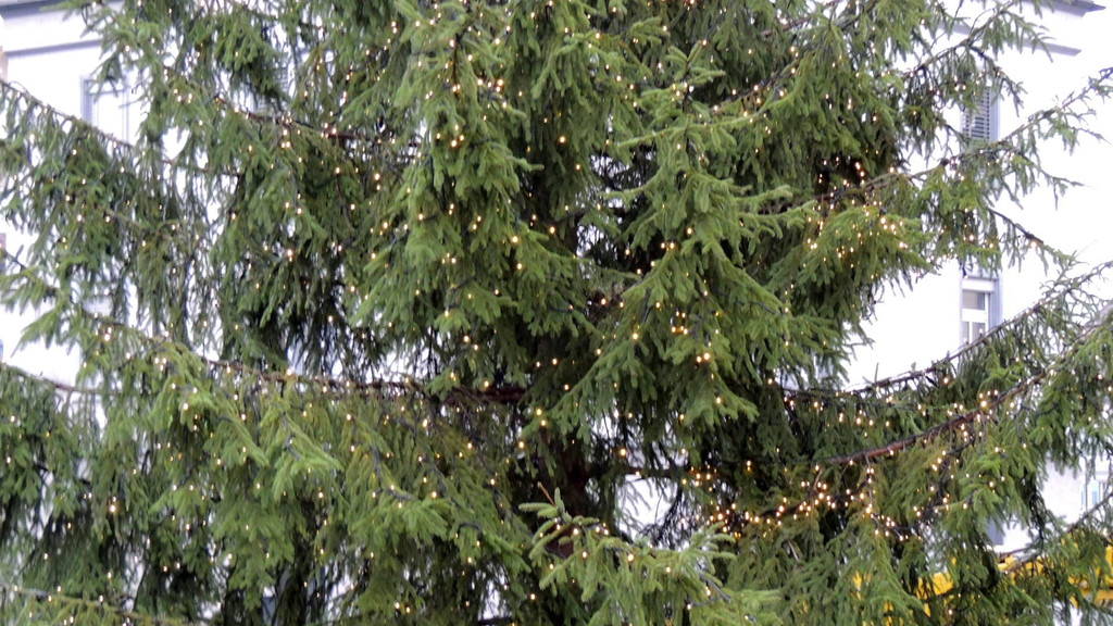 DSCN9885_JPG-1354150892