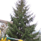 DSCN9879_JPG-1354150876