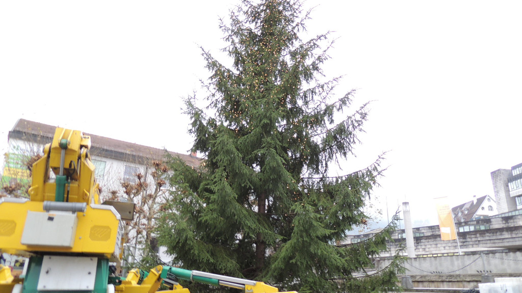 DSCN9879_JPG-1354150876