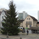 DSCN9881_JPG-1354150880