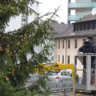 DSCN9884_JPG-1354150888