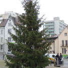 DSCN9882_JPG-1354150884