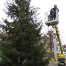 DSCN9888_JPG-1354150905