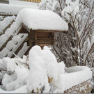 schneeee.jpg