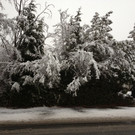 Schnee in Bregenz
