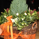 Bilder 24-11-2012 060_jpg-1354182377