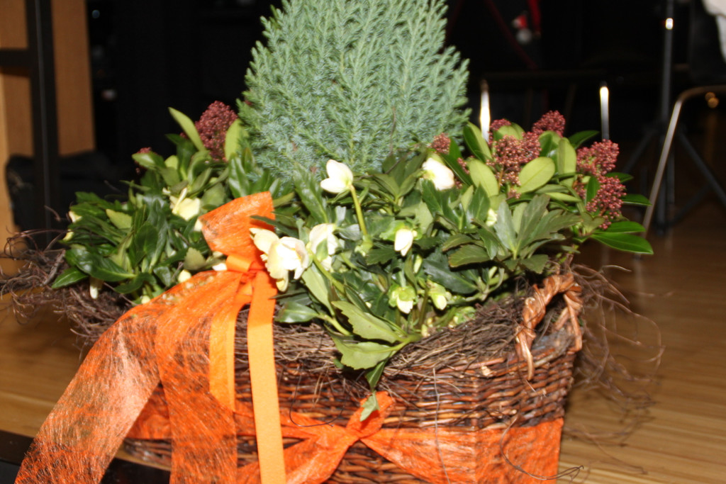 Bilder 24-11-2012 060_jpg-1354182377