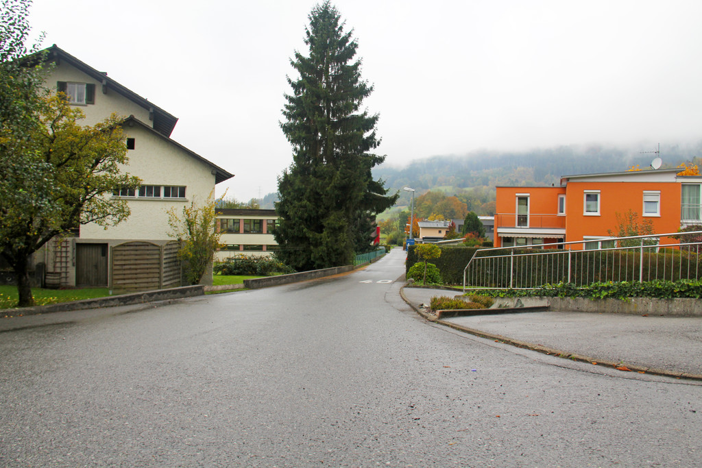 Frastanzer Stra__e_3_JPG-1354186412