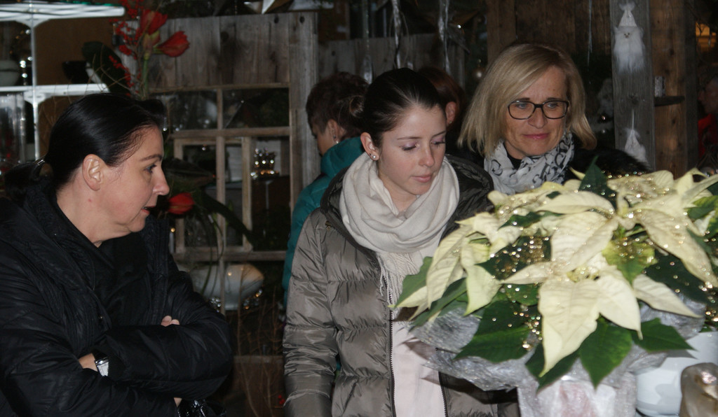 Adventausstellung_2012_016_JPG-1354186389